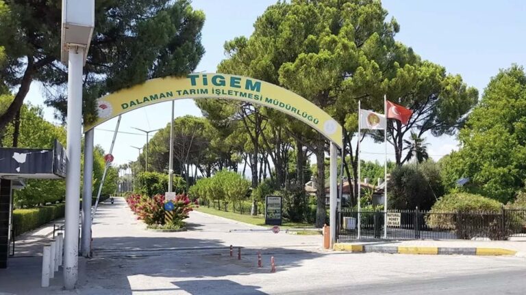 dalaman-tarim-isletmesi-mudurlugu-elektrik-alim-ihalesi-yapacak-aBVRWgc2.jpg