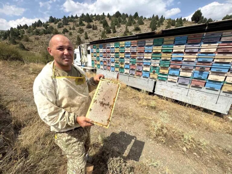 mobil-aricilik-sistemi-ile-dogal-bal-uretimi-BJYE5X5m.jpg