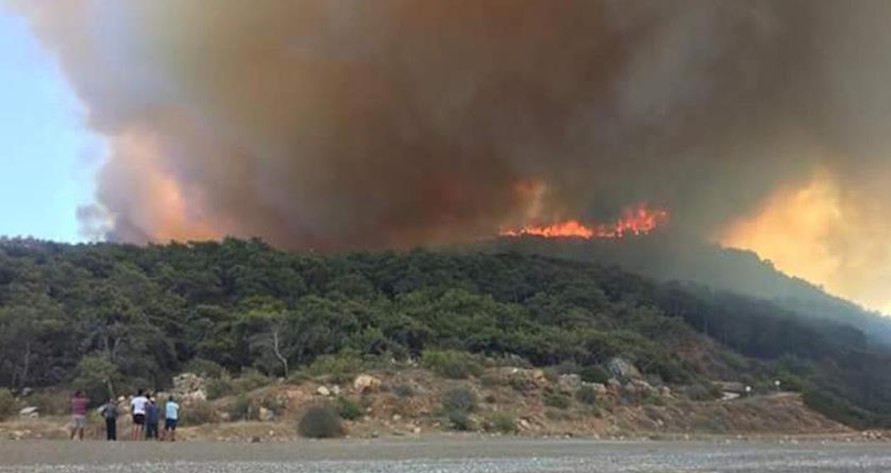 Antalya’da orman yangını çıktı’: Müdahale ediliyor