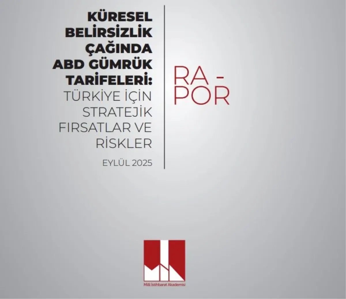 Türkiye için ABD Tarifeleri Raporu