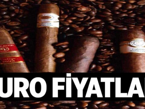 Puro Fiyatlari 1024x6224yZ.jpg