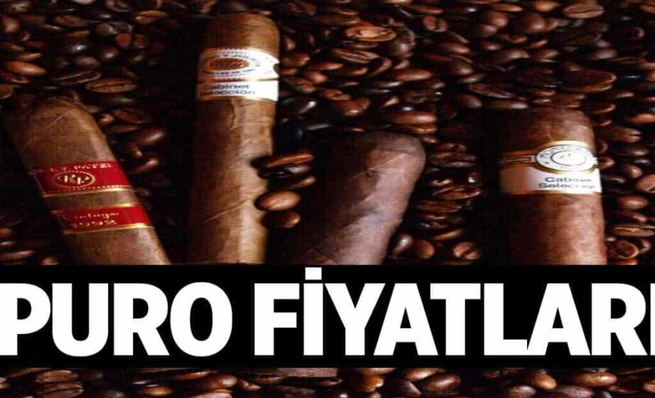 Puro Fiyatlari 1024x6224yZ.jpg