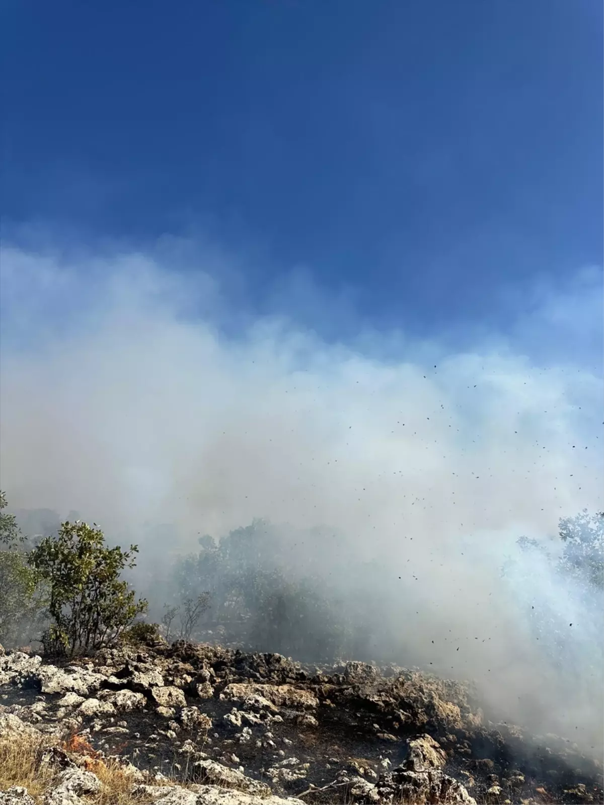 Diyarbakır’da örtü yangınına müdahale