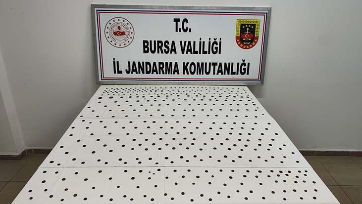 Jandarmadan nefes kesen ‘Anadolu Mirası’ operasyonu: 437 tarihi sikke ele geçirildi jandarmadan nefes kesen anadolu mirasi operasyonu 437 tarihi sikke ele gecirildi KwxXTHIp.jpg