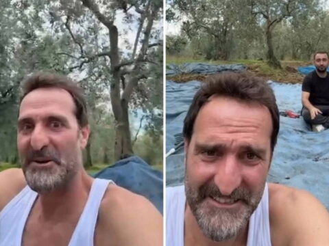 Ünlü oyuncu Timur Acar İznik’te arsa aldı, ilk zeytin hasadını yaptı unlu oyuncu timur acar iznikte arsa aldi ilk zeytin hasadini yapti gyQ3fjbS.jpg